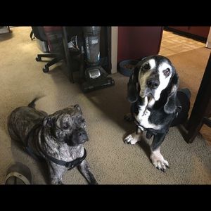 Meet your Posher, Mike